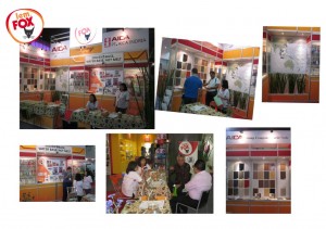 Pameran TEI 2014 copy